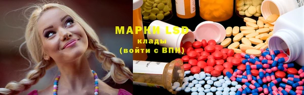 прущие грибы Богданович