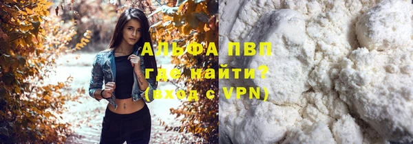 прущие грибы Богданович