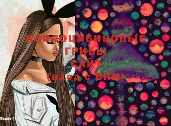 дмт Верхний Тагил