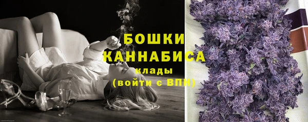 прущие грибы Богданович