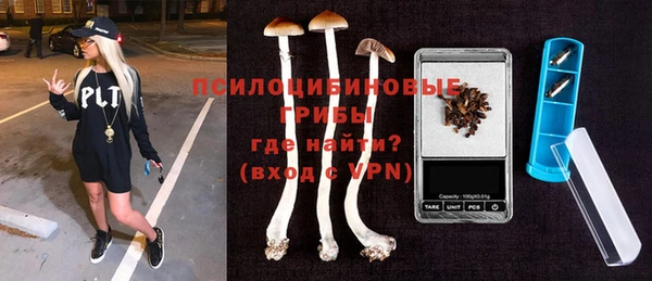 прущие грибы Богданович