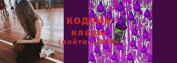 прущие грибы Богданович