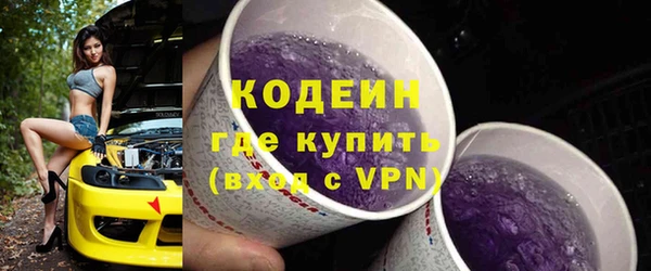 прущие грибы Богданович